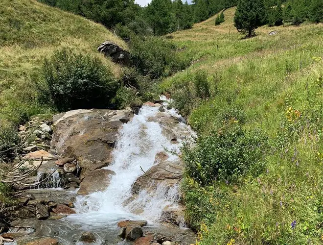 Escursioni di rafting in Val di Sole