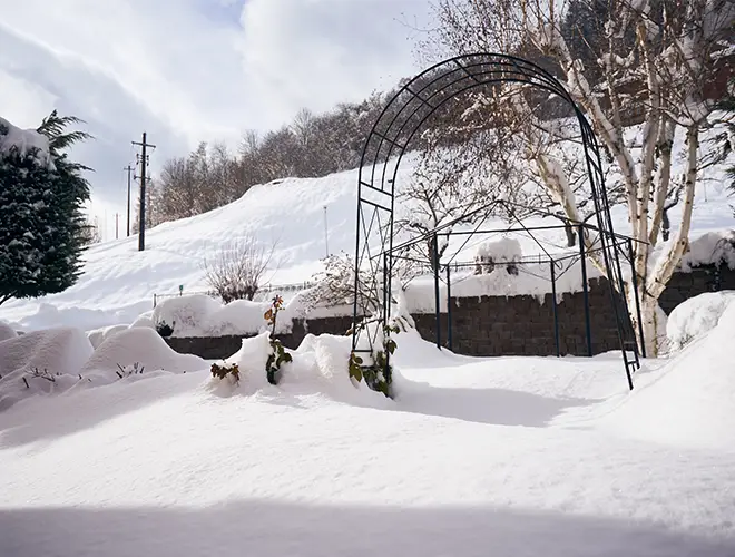 Trentino Guest Card in Val di Sole