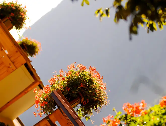 Val di Sole Guest Card