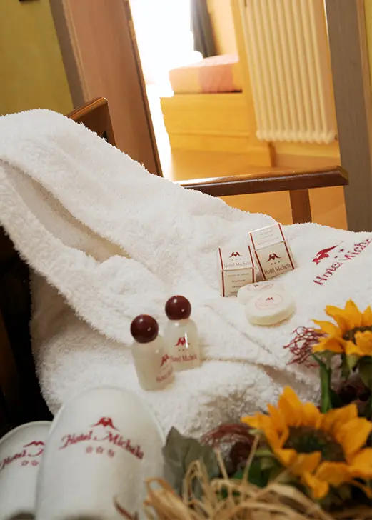 area relax sauna palestra bagno turco idromassaggio hotel michela male